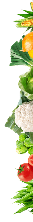 Decorative vegetables