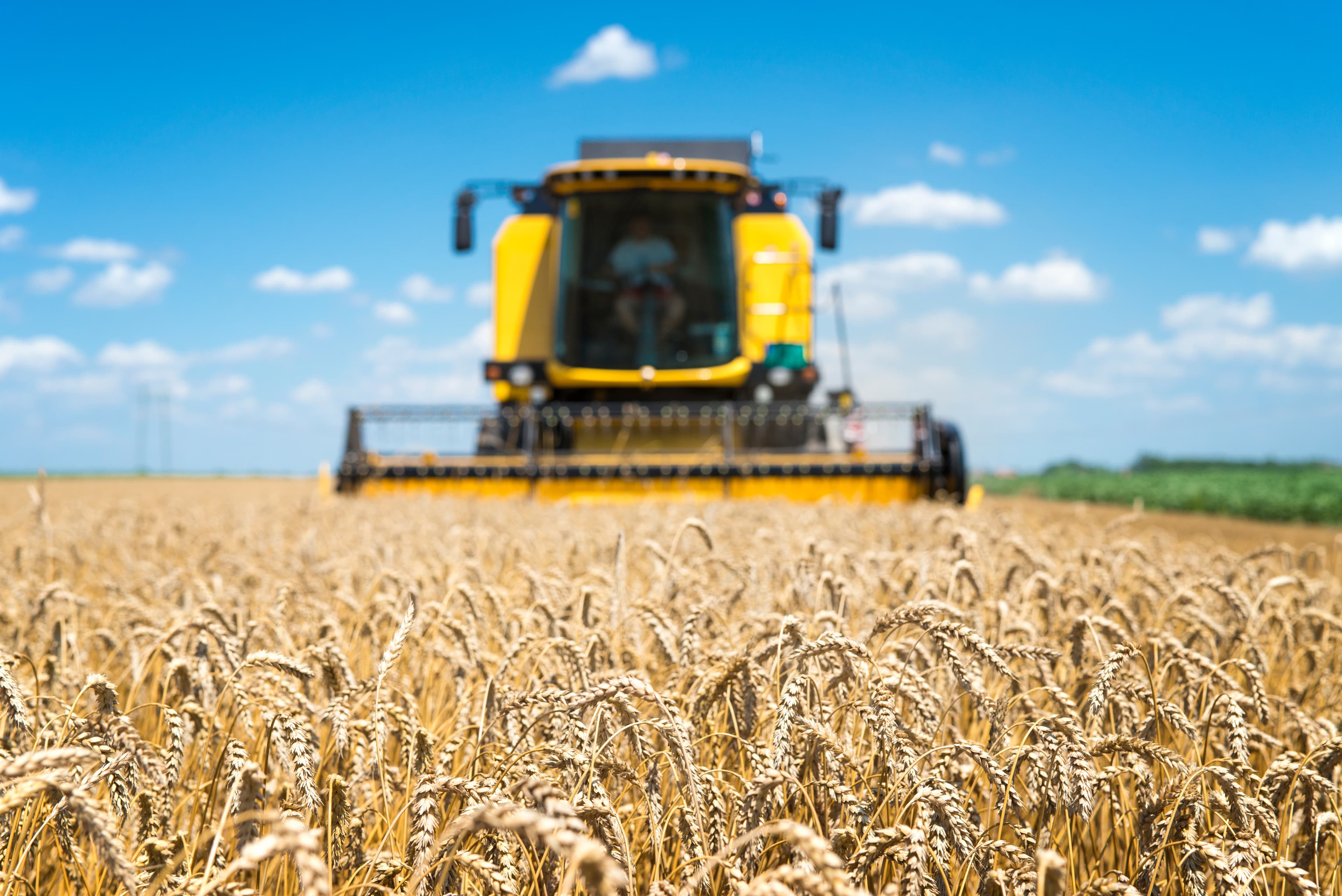 Rice harvesting machine